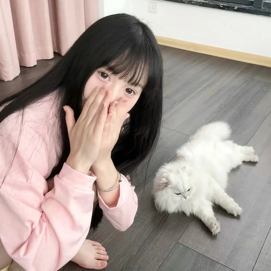 翻译家~长崎翻译异闻~