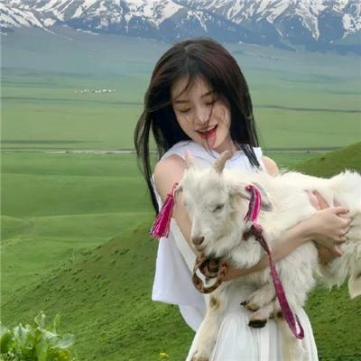 圣路易斯银行大劫案